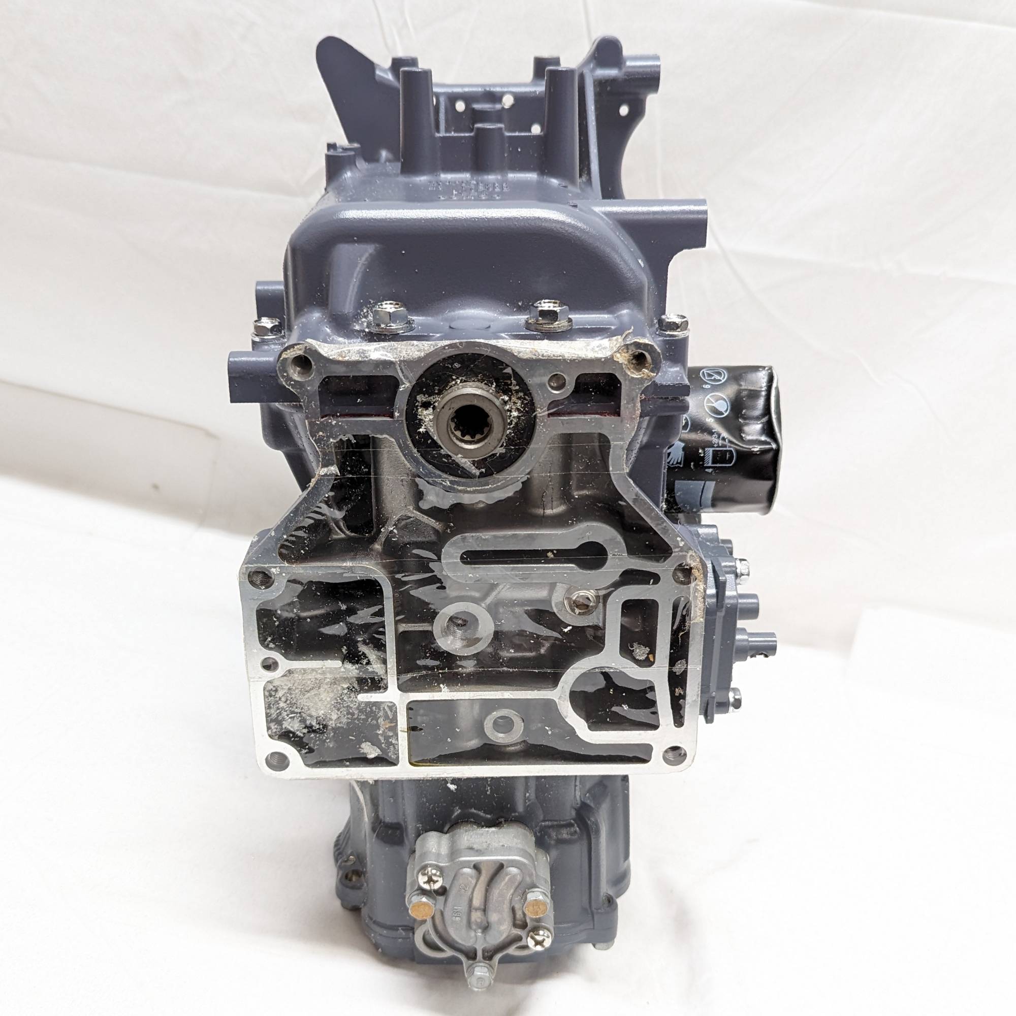 Mercury Marine OEM Quicksilver 9.9/15 HP 4 Stroke Power Head  