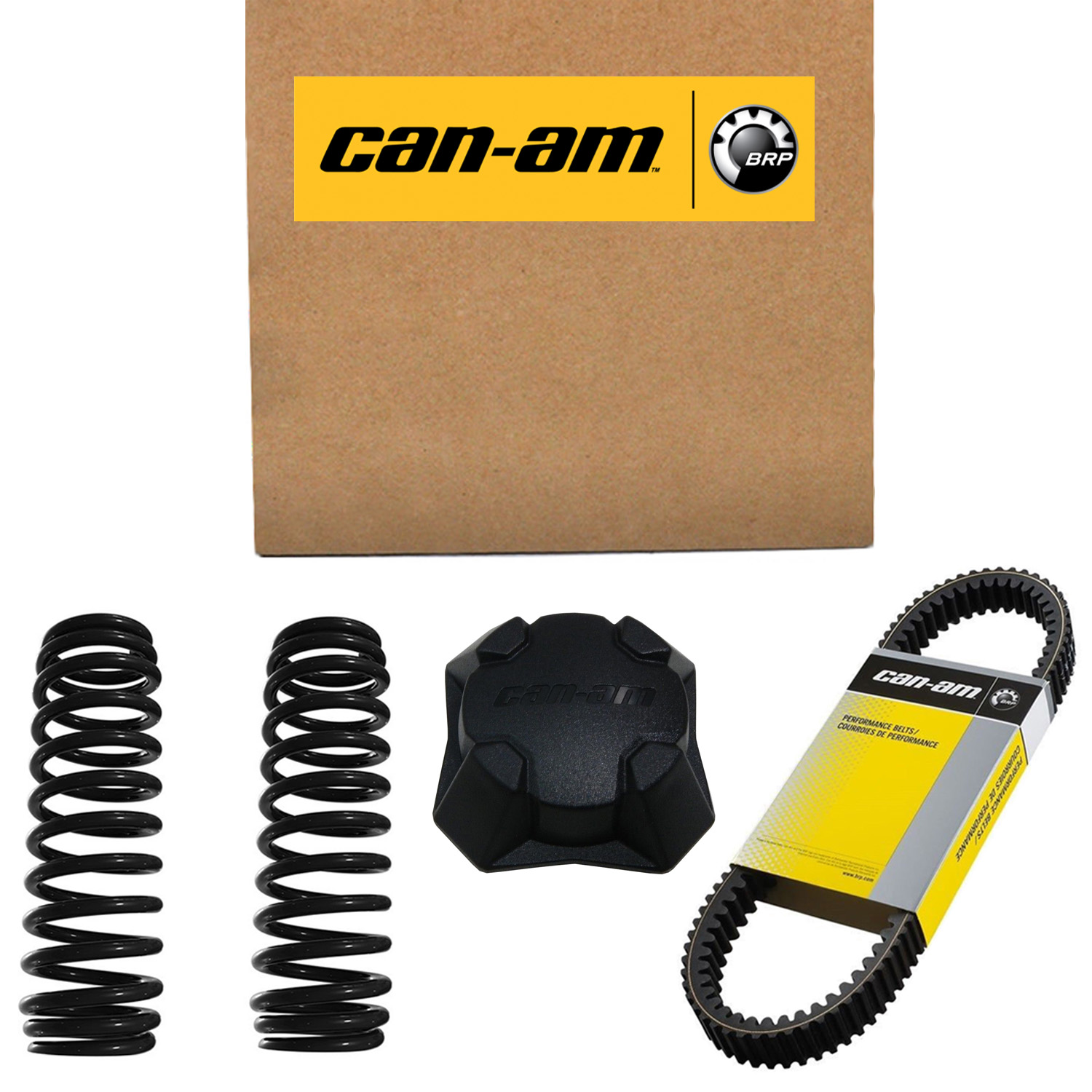 Can-Am New OEM Filter, 709000330