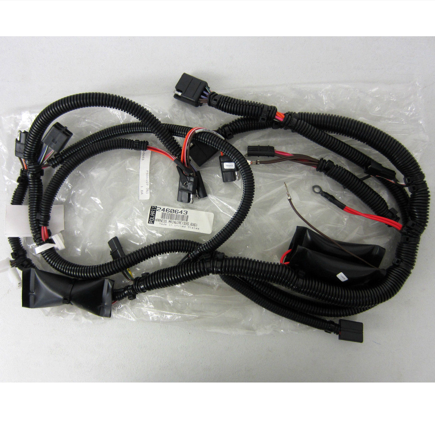 vet in harness